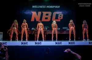 WELLNESS НОВИЧКИ